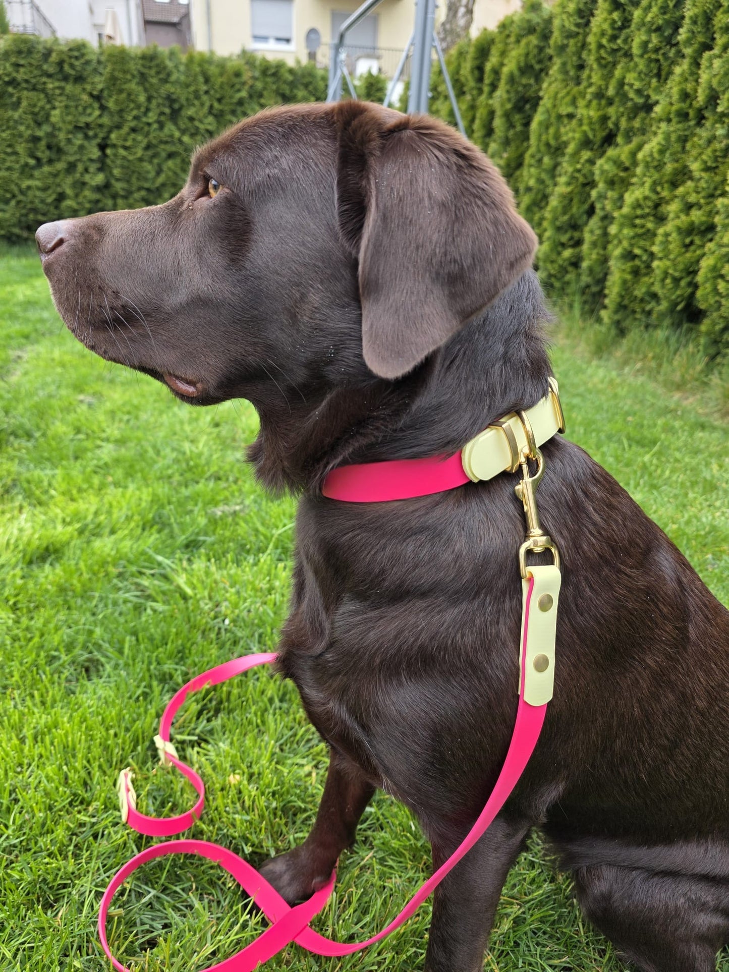 Frühlingskollektion