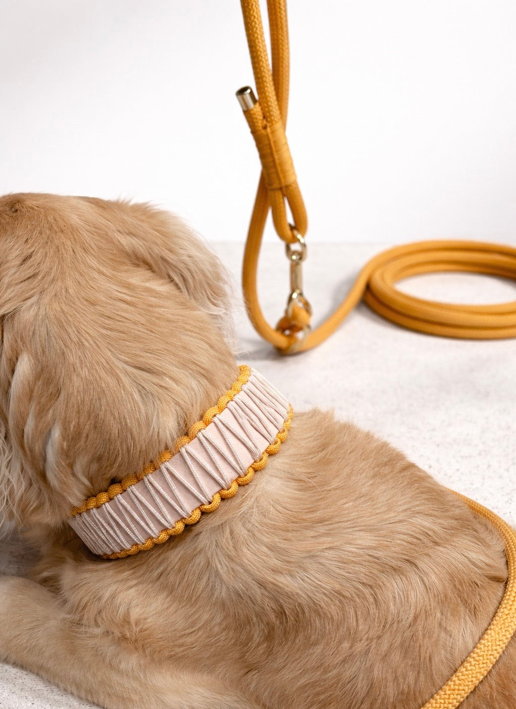 Frühlingskollektion